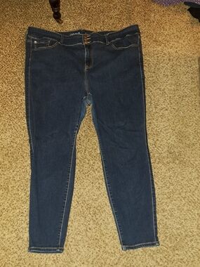 Torrid 24 Jegging